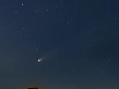 cometa do diabo FOTO caio correia observatorio nacional